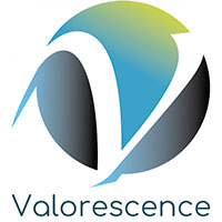 logo valorescence