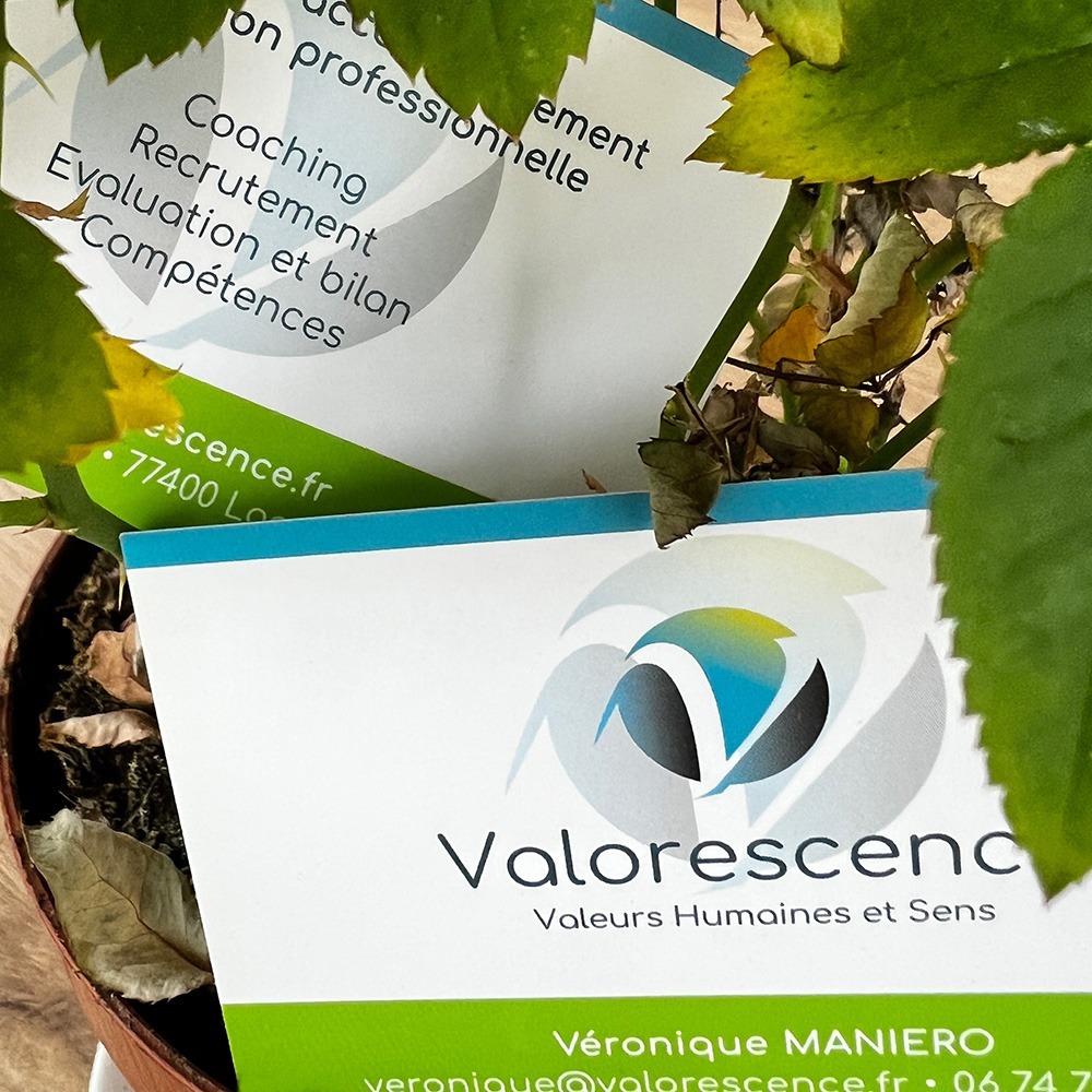 Valorescence : cartes de visite, feuillage plante